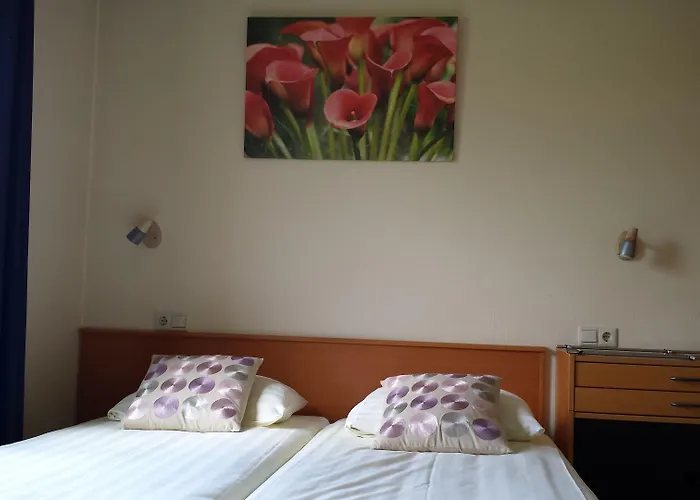 De Wilde Kriek - Before De Karsteboom 3*