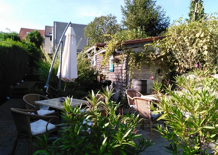 De Wilde Kriek - Before De Karsteboom 3*