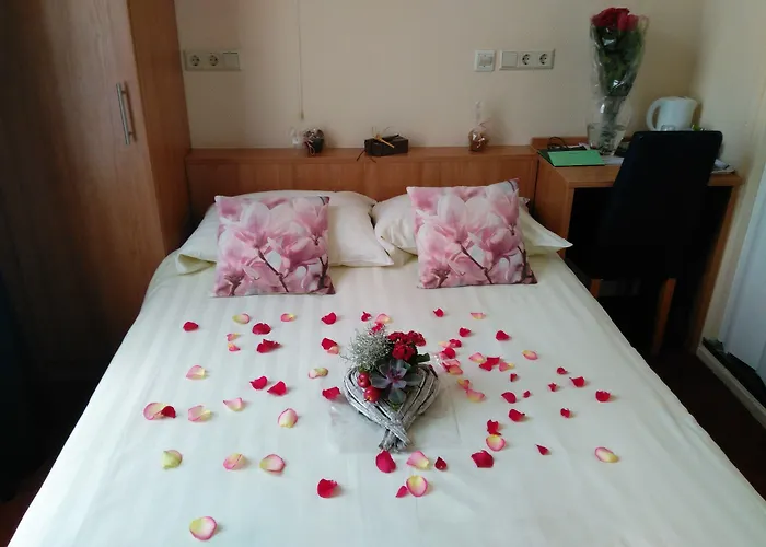 De Wilde Kriek מלון