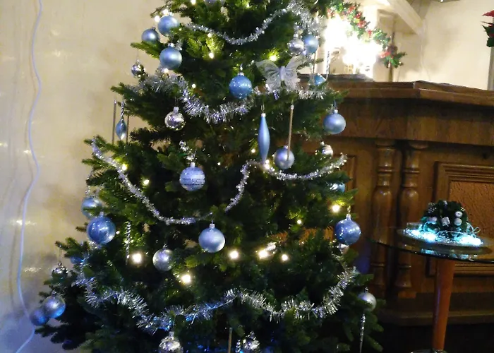 De Wilde Kriek ファルケンブルフ