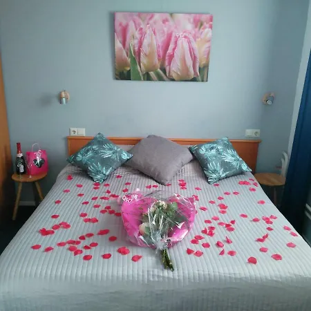 Hotell De Wilde Kriek 3*